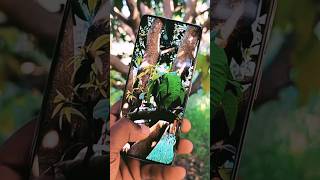 Iphone 15 Vs Realme P1 Pro 5G |#shorts #viral #trending #5g