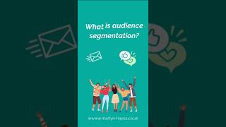 What is audience segmentation?