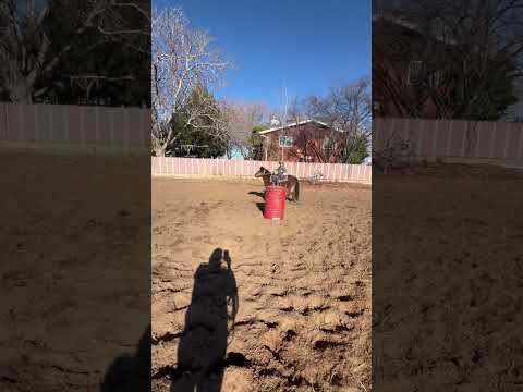 (Sold) Moon Christmas pony