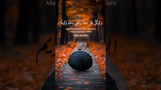 Quran #quran #qurantranslation #quranquotes #qurantilawat #quranrecitation #quranpak