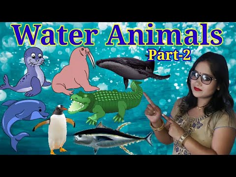 Water Animals Name | Water Animals For Kids | Water Animals Video | Aquatic Animals #wateranimals