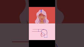 Head Animation Guide