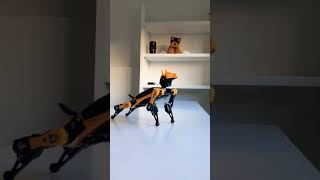 Petoi Bittle Robotic Dog 🤖😱  Full Video Coming Soon!! #shorts #petoibittle #petrobots