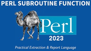 Perl Programming - Subroutines & Functions 2023