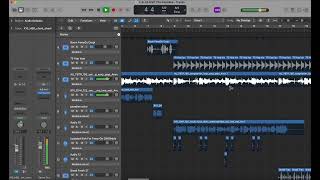 This Paradise Logic Workflow