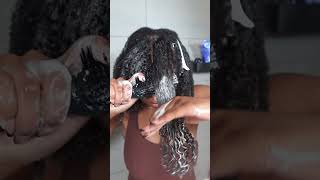 I love Pattern , but I'm not shocked at the results #naturalhair #washday #pattern