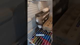 Best Problem-Solving Products for a Clean & Organized Kitchen