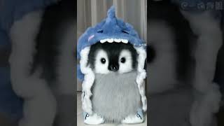 Adorable Penguin🧊❄️🐧✨💕#cute #cuteshorts #funny #cutestuff #penguin