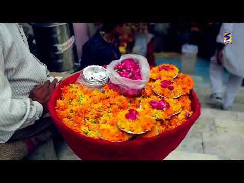 Chadh ke Charyai | Deepa Dhaipai || Latest Mata Bajan