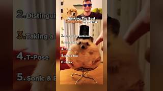 Top 6 Hedgehog Moments That Made Us Laugh!