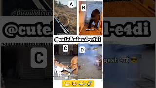 cute animals funny video trending shorts 😍PT-57 #cuteanimalsfunnyvideos​ #funnycomedyshorts #funnl