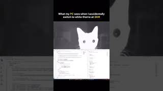 Dark mode saved my eyes until the fateful click.