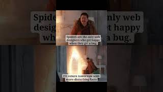 Spiders: The Only Web Designers Who LOVE Bugs! 🕷️😂 #Meme"