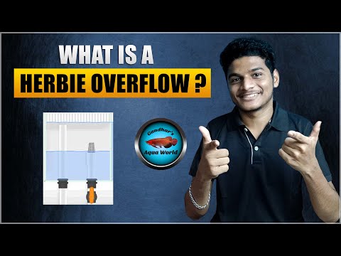 What is a Herbie Overflow in Aquarium | Types of Aquarium Overflows Part - 2