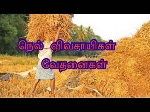 நெல் விவசாயிகள்  வேதனைகள்
