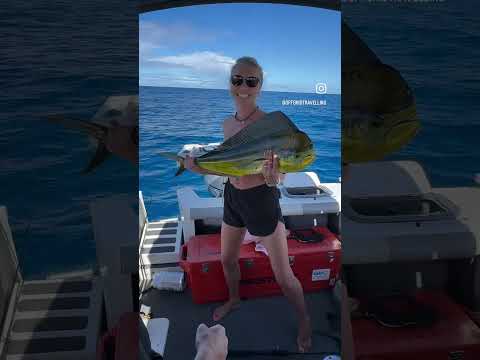 Best Day Fishing Ever! #fishing #tuna #mahimahi
