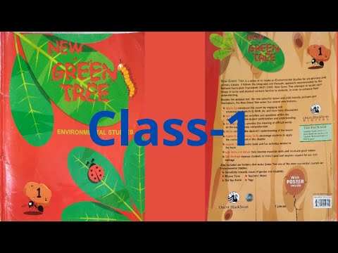 Class-1 Evs chapter-4 Mybodyneedscare  questionandanswer @learningbyplayingkids