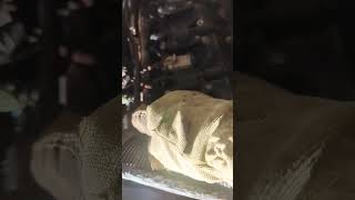 throwing codes. look for hookups to computer. fix the problem