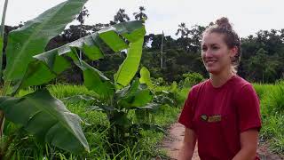 The ASA internship program in the Peruvian Amazon