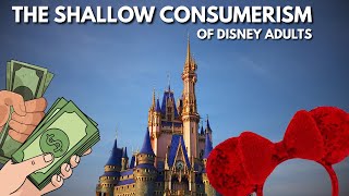 The Divide Between Theme Park Fans and Disney Adults