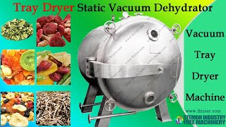 Vacuum Tray Dryer machine for fruit vegetables dehydration with oven type┃