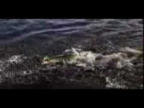 Canada fishing - InFisherman visits Ganglers' North Seal River Lodge.flv
