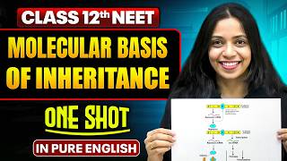 MOLECULAR BASIS OF INHERITANCE | Class 12th ONE SHOT | Complete NEET Botany in Pure English