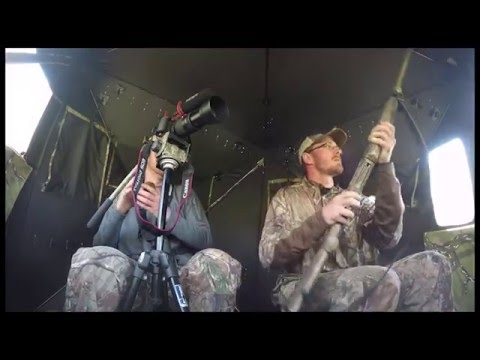 Bearded Hen Turkey Hunt