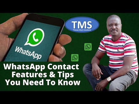 WhatsApp Contact Features and Tips You Need to Know