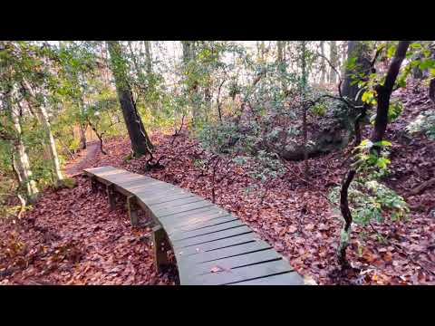 Flowery Branch Web Designers find a spot to unwind. -Trail Kaleidoscope - Cherokee Bluffs - 2021