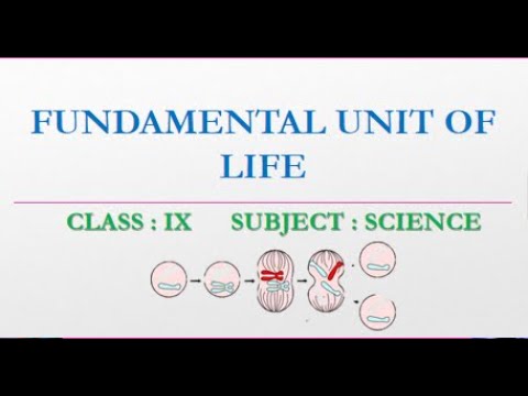 Fundamental Unit Of Cell || Module - 2