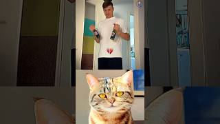 give this video title (warning answe ) #cat #meme #dance