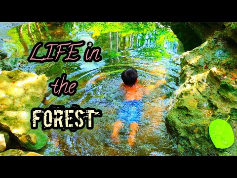 LIFE in the FOREST | simple life | real life |(part 2)