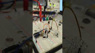 Voice reactive light display
