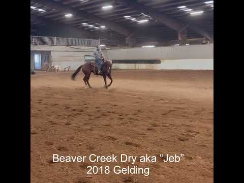 (SOLD) Beaver Creek Dry aka “Jeb”