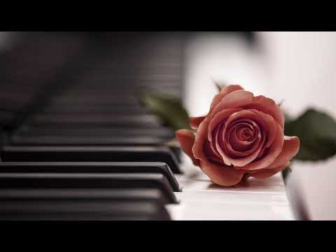David Hovanisyan Live Stream