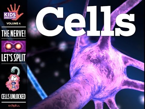 CELLS by Kids Discover (for iPad)