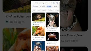 What Is The Most Ugliest Thing In The World? Google Vs Bing Vs DDGo #shorts #answer #search