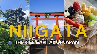 EXPLORING JAPAN: SUMMER IN COUNTRYSIDE JAPAN//THINGS TO DO IN NIIGATA (新潟県)