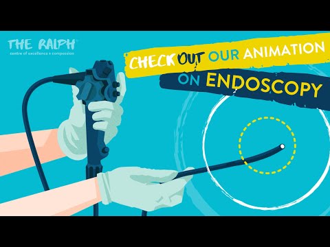 Endoscopy for Dogs and Cats