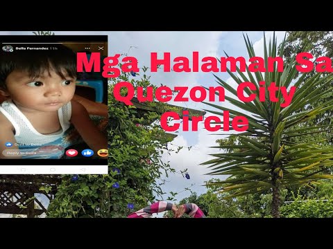 Mga Halamanan sa Quezon City Circle