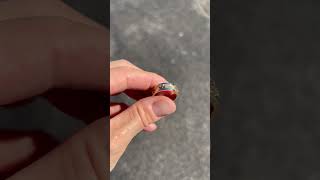 We do #customring #customjewelry #customdesign all day!! #customjewelrydesigner