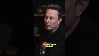 Elon Musk: The Real Reason News is Always Negative 🦁🫐 | PodClip