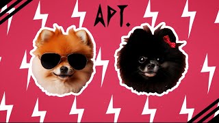 ROSÉ & Bruno Mars - APT. (Dog Version)