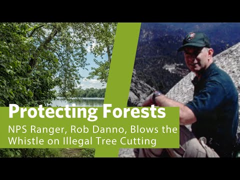 Protecting Forests: NPS Ranger, Rob Danno, Blows the Whistle on Illegal Tree Cutting