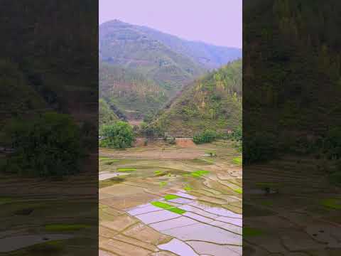 subscribe to  my channel #shortsviral #shortsviral #nature #travel #iphone13pro