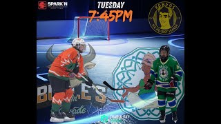 Bulles vs Delhis- #icehockey  #livestream  #blackmagicdesign #livesports