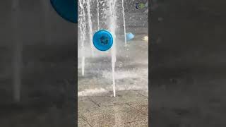 Water + Physics = Magic! #PhysicsInAction #BernoulliEffect #FluidDynamics #ScienceIsCool