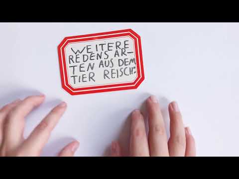 Tim erklärt das Sprichwort "Es zieht wie Hechtsuppe".