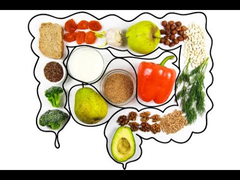 Leaky Gut and Immunity Webinar